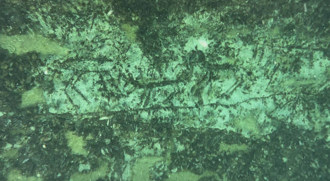 aa-20251022-39485678-39485676-adiyamanda-paleolitik-doneme-ait-oldugu-degerlendirilen-kaya-resimleri-su-altinda-goruntulendi.jpg