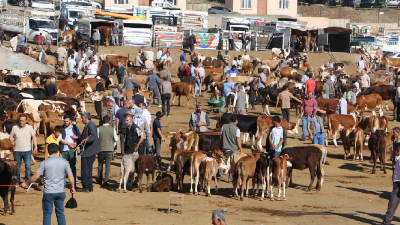 diyarbakir-hayvan-pazari.jpg