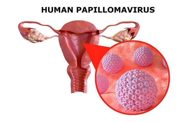 hpv11.jpg