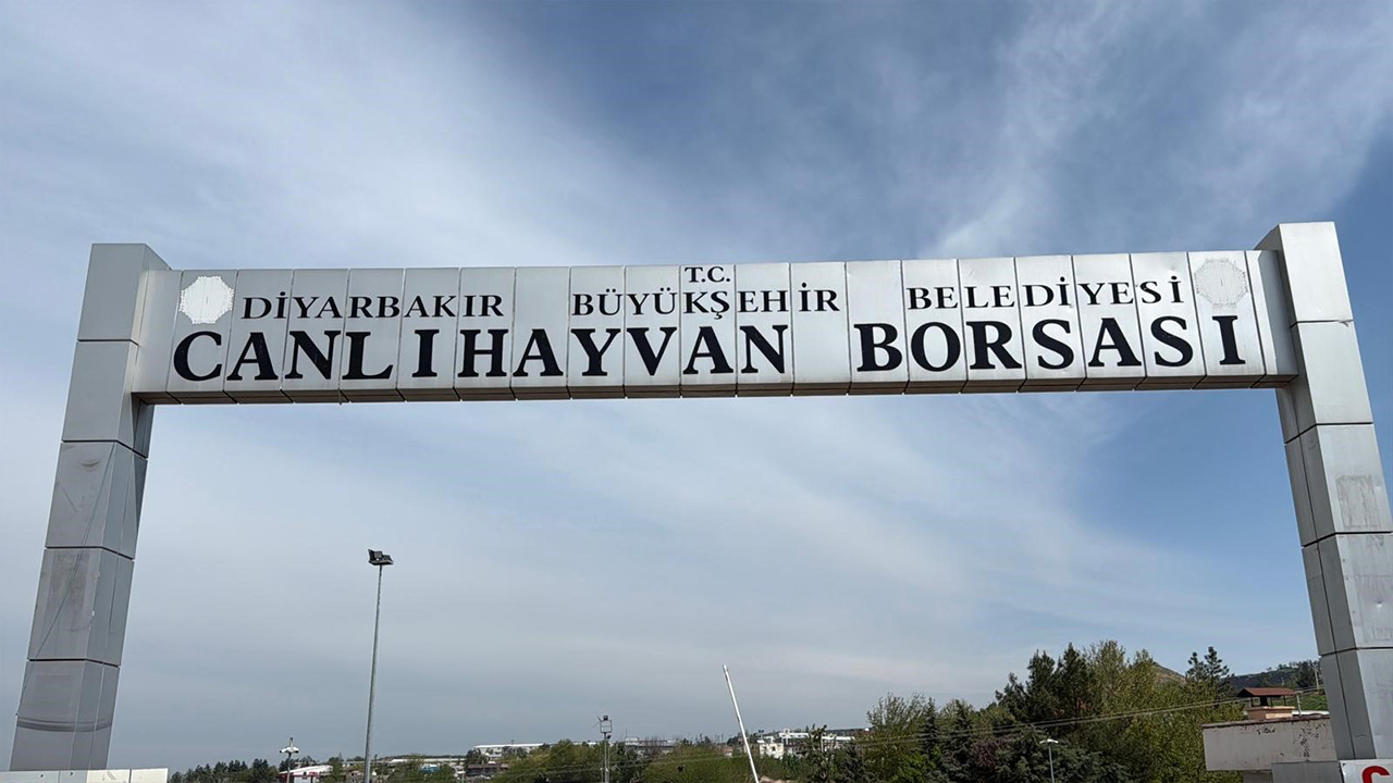 hayvan-borsasi.jpg