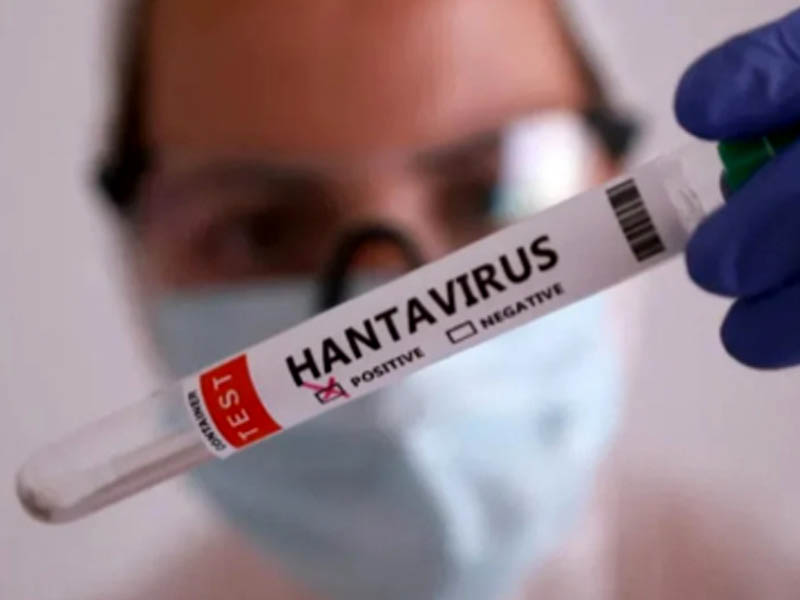 hantavirus5.jpg