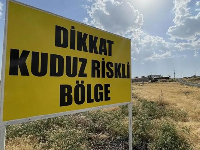 kuduz.webp
