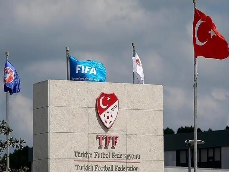 tff1.webp