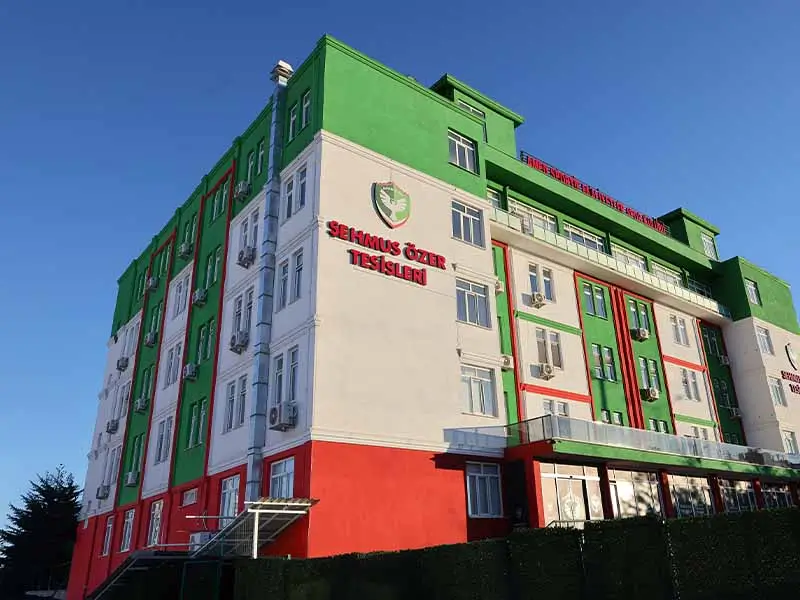 amedspor-tesis.webp