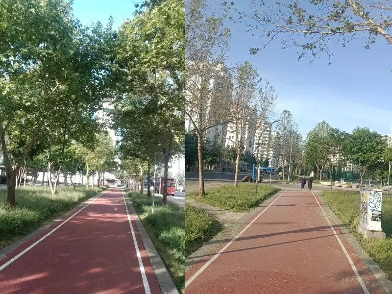 park-2.webp