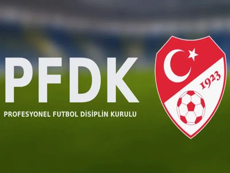 pfdk2.webp