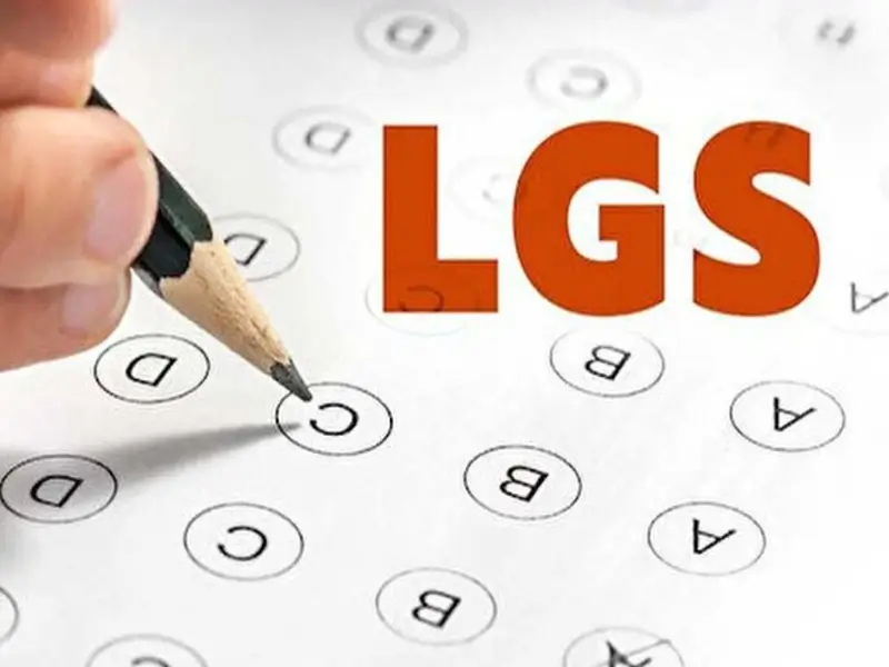 lgs-5jpg.webp