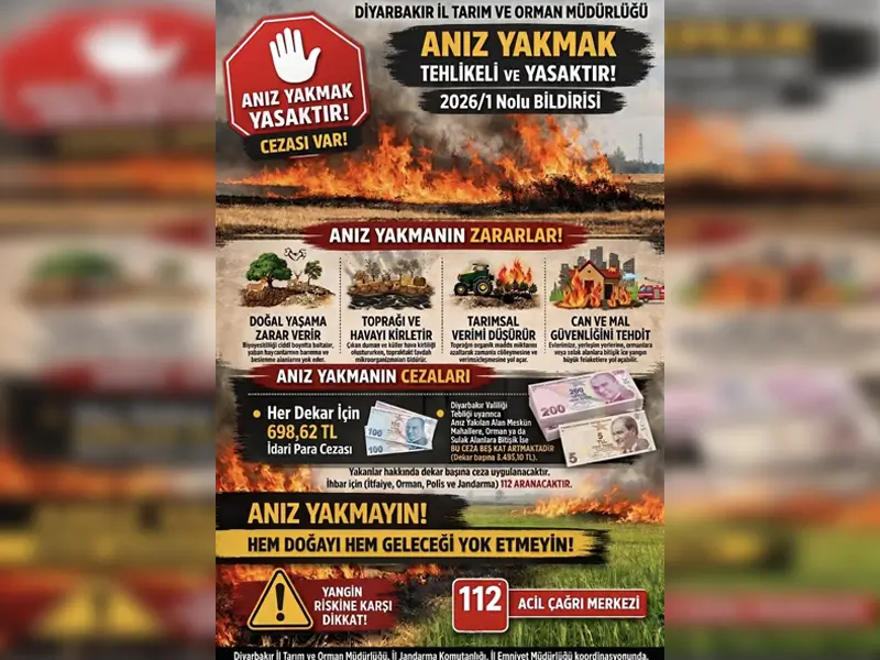 yanginn.webp