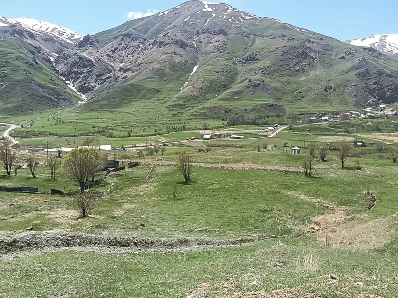arsa23hakkarijpg.webp