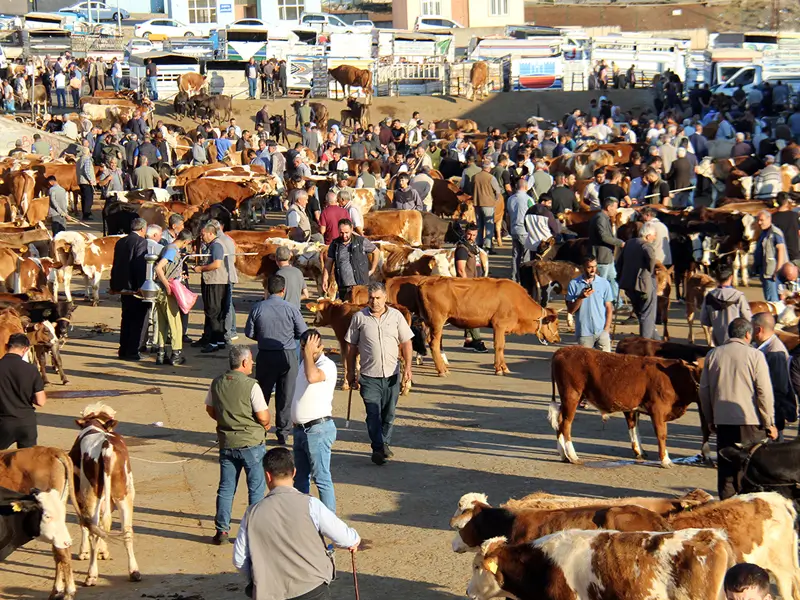 diyarbakir-sigir-besici.webp