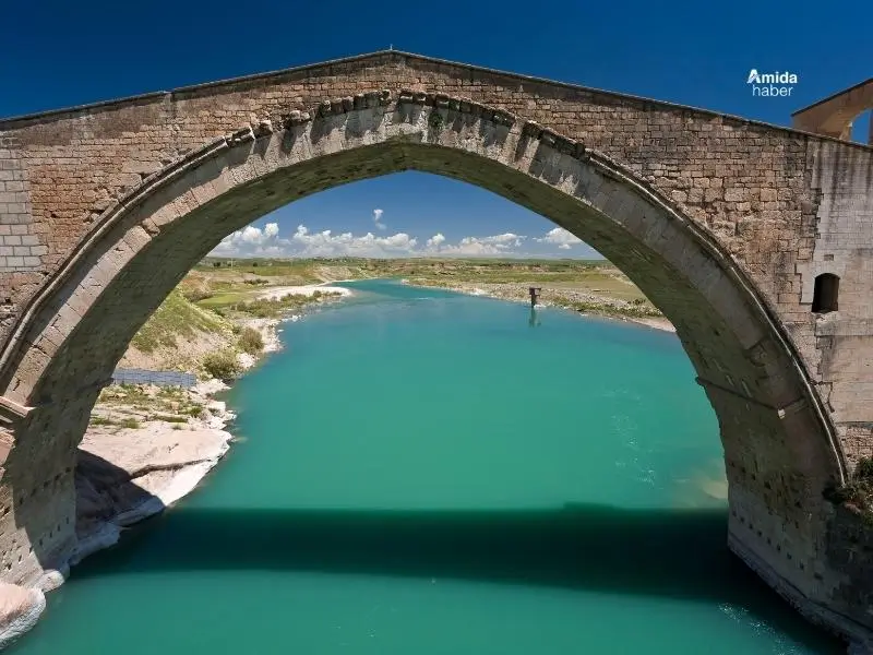 malabadi.webp