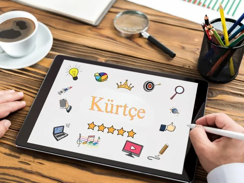 kurtce.webp