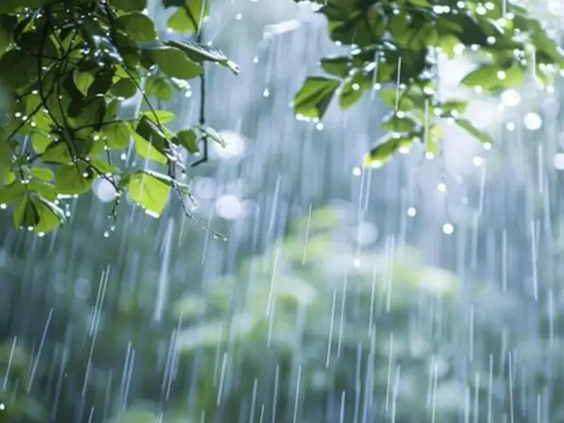 meteorolojiiiii.webp