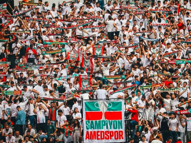 amedsporrr.webp