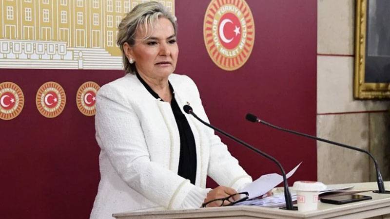 1721825367215-nimetozdemirrrr.jpg