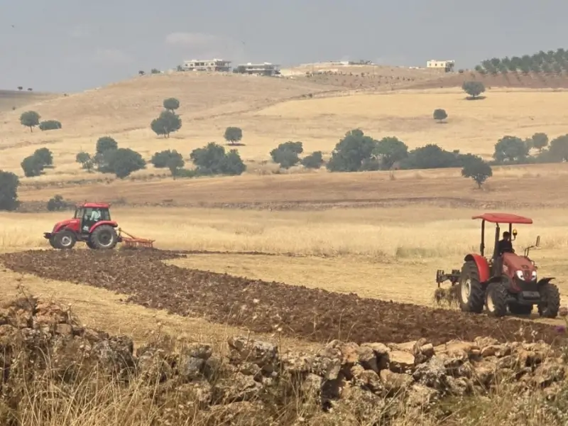 diyarbakir-12.webp