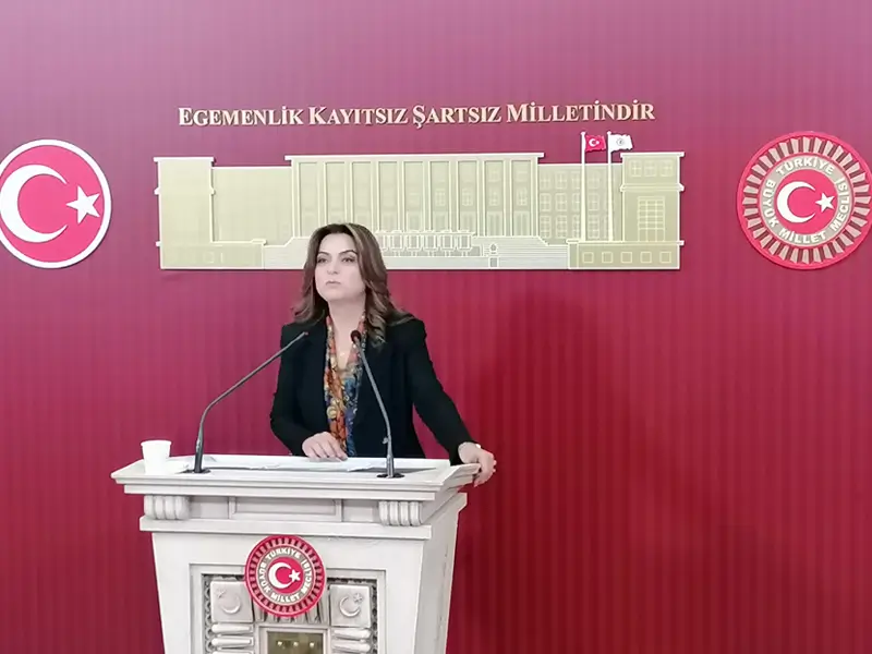 kocyigit3.webp