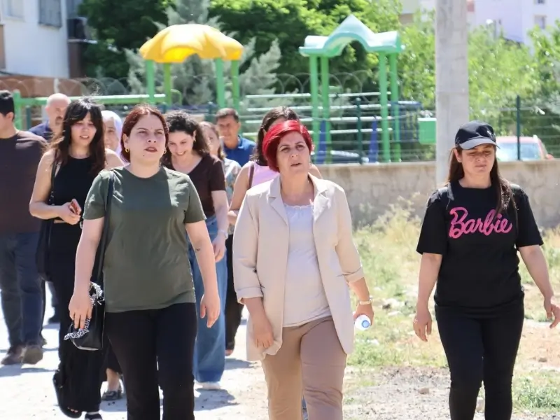 silvan-1.webp