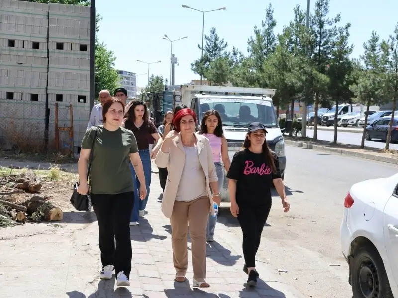 silvan.webp