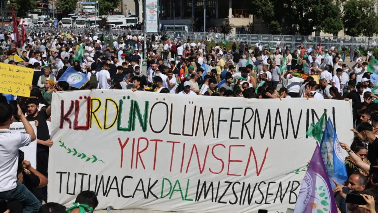 miting-amed.webp