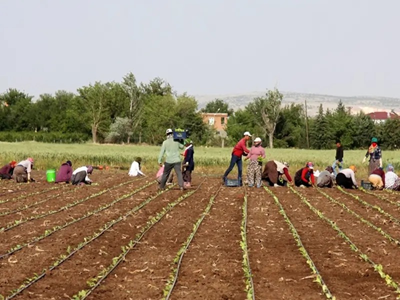 diyarbakir-isci4.webp