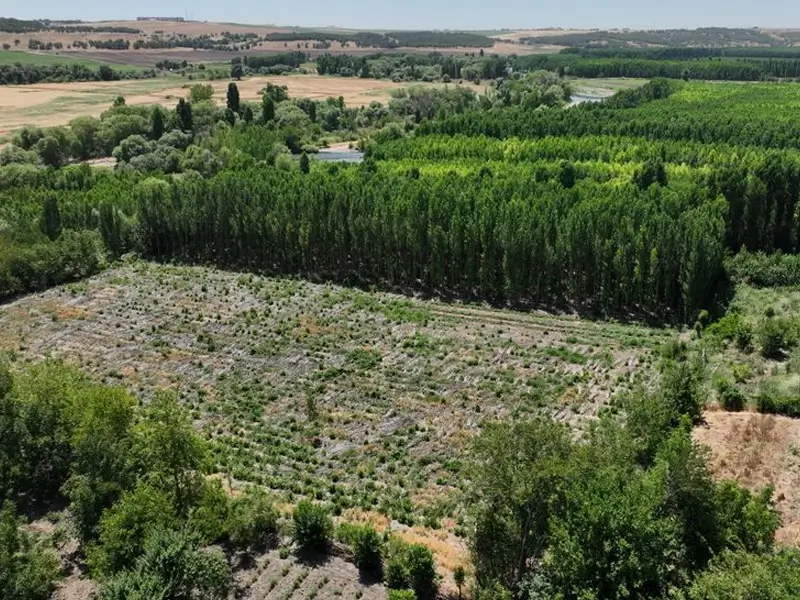 hevsel-bahceleri2.webp
