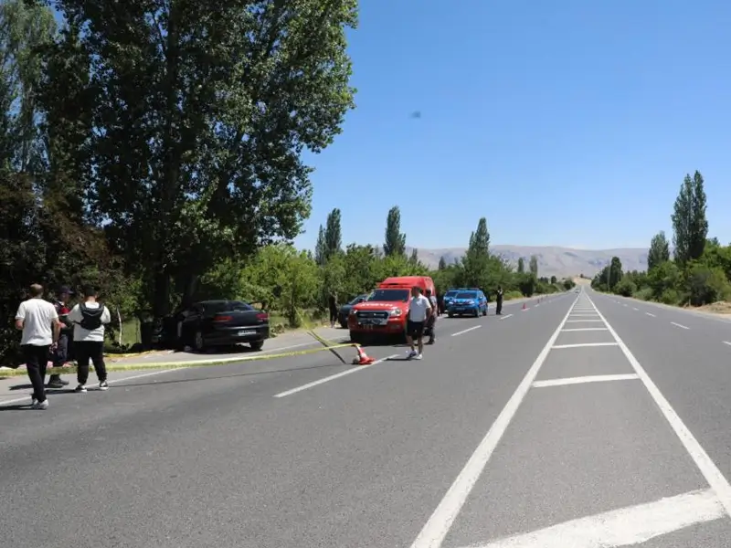 malatya-kaza2.webp