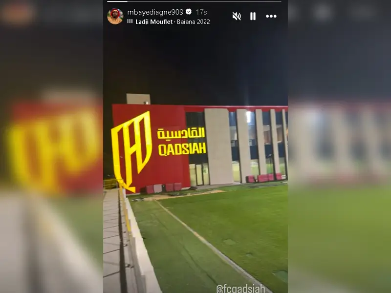 diagne2.webp