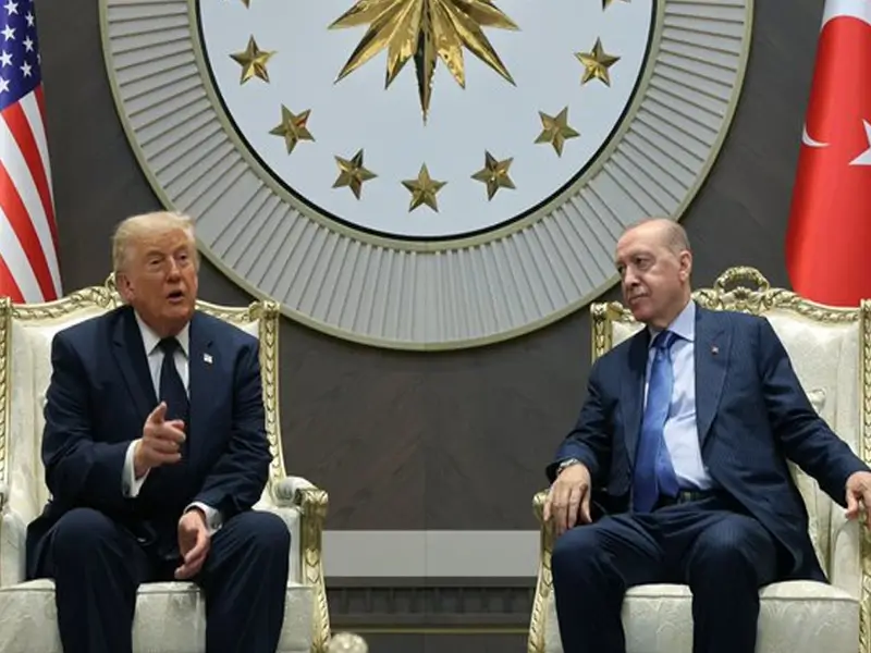 trumperdogan4.webp