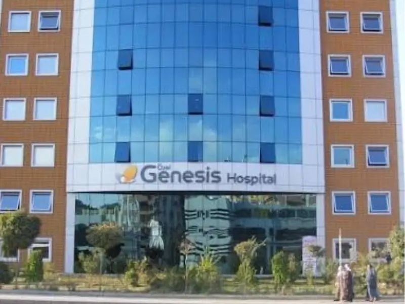 genesis.webp