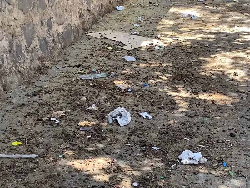 diyarbakirin-gobegindeki-mahalleyi-koku-sardi2.webp