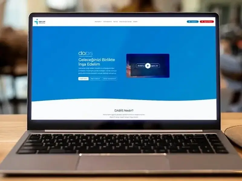 debis3.webp
