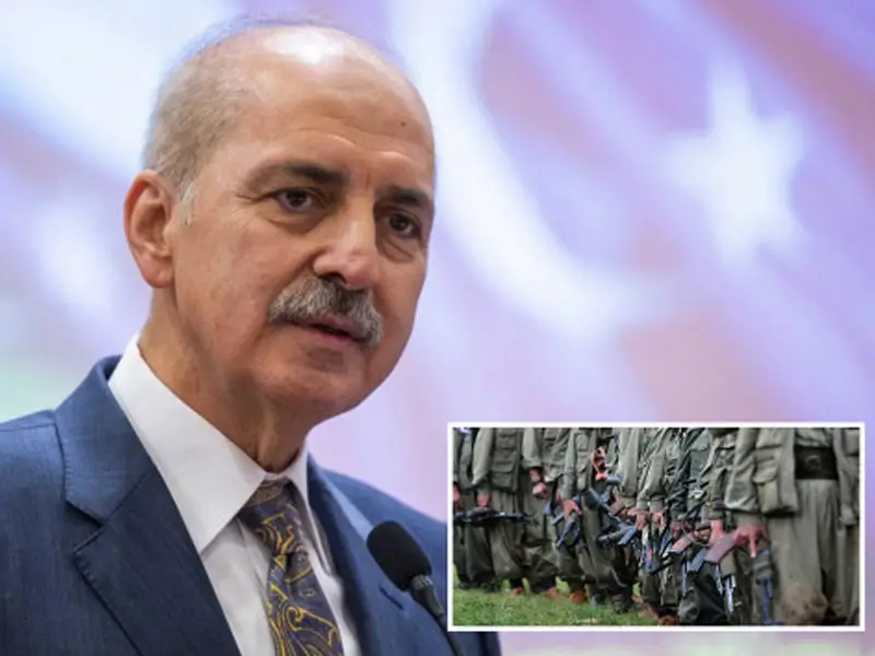 numan-kurtulmus.webp