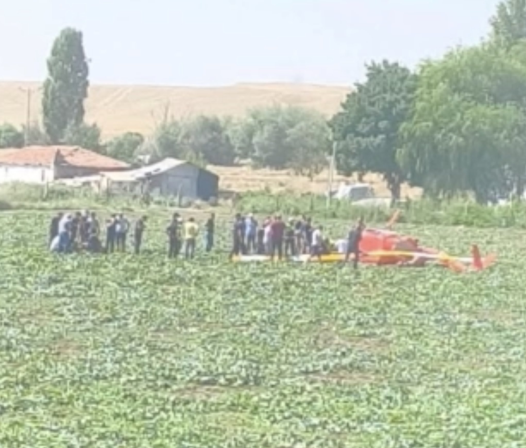 ankara.jpg