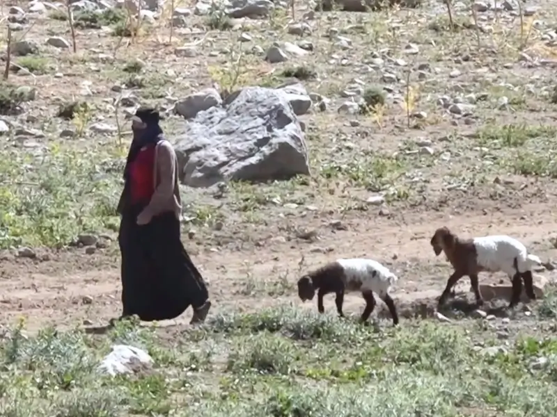 hakkari-5.webp