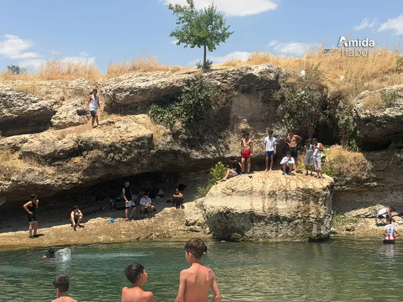 selman-koyu2.webp