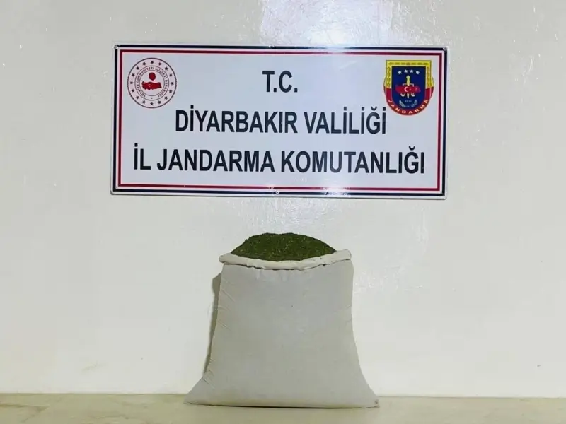 narkotik-1.webp
