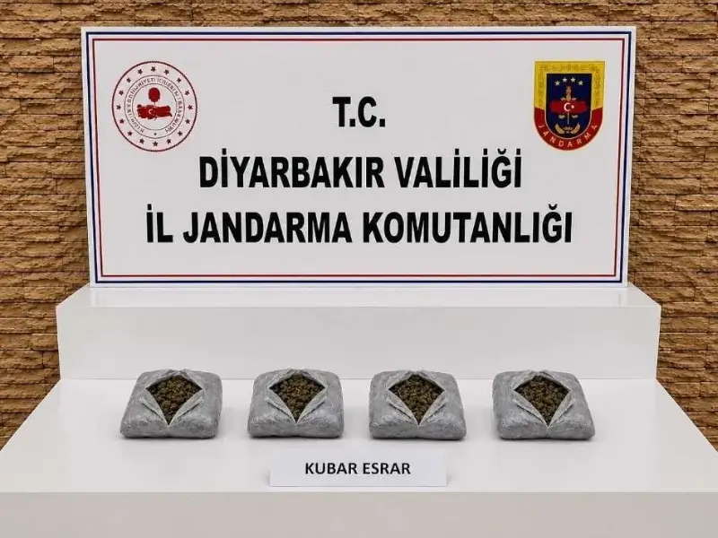 narkotik-2.webp
