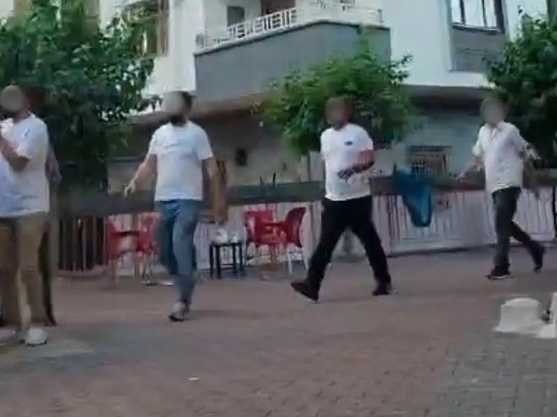 kvgss.webp
