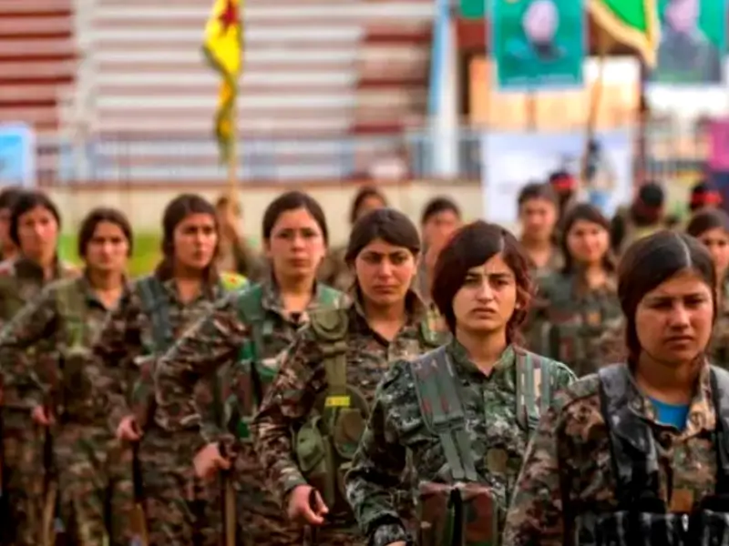 ypj2.webp