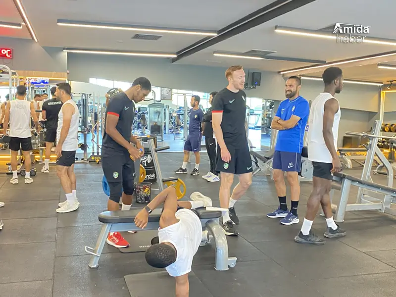 amedsporr.webp