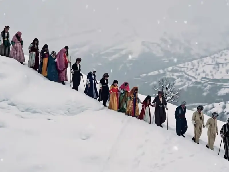 ali-tekbas-3.webp