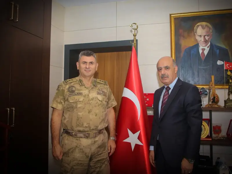 ali-gemalmaz.webp