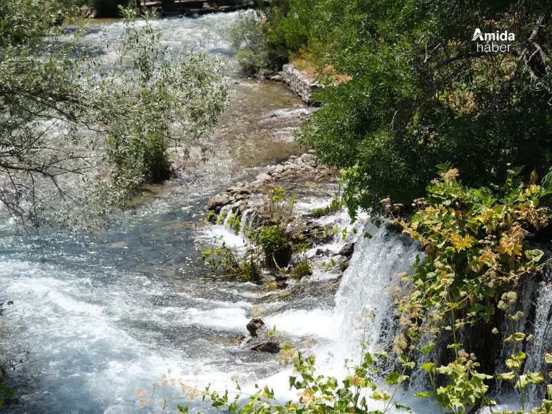dersim-cografyasi-tehdit-altinda-4.webp