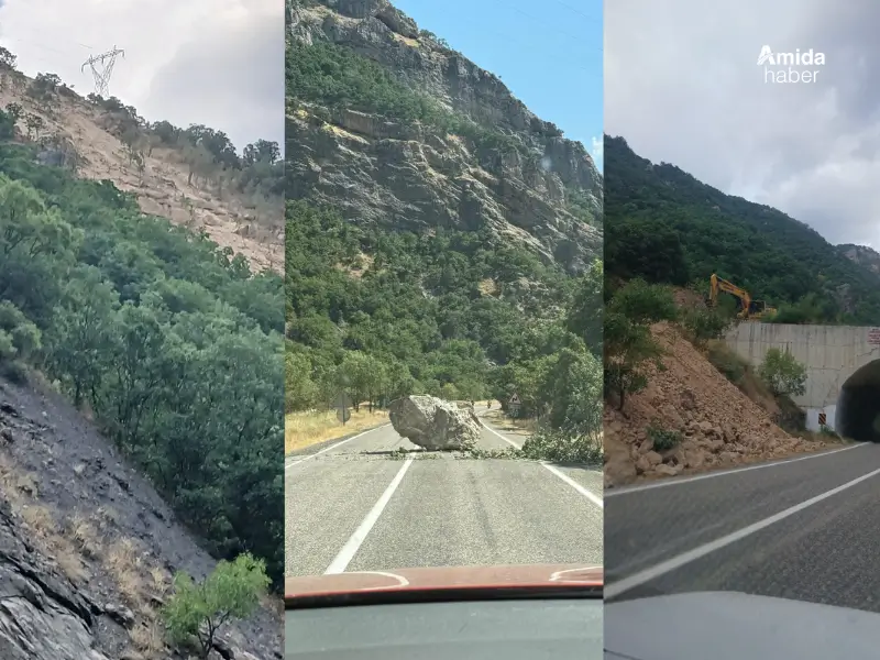 dersim-cografyasi-tehdit-altinda-7.webp