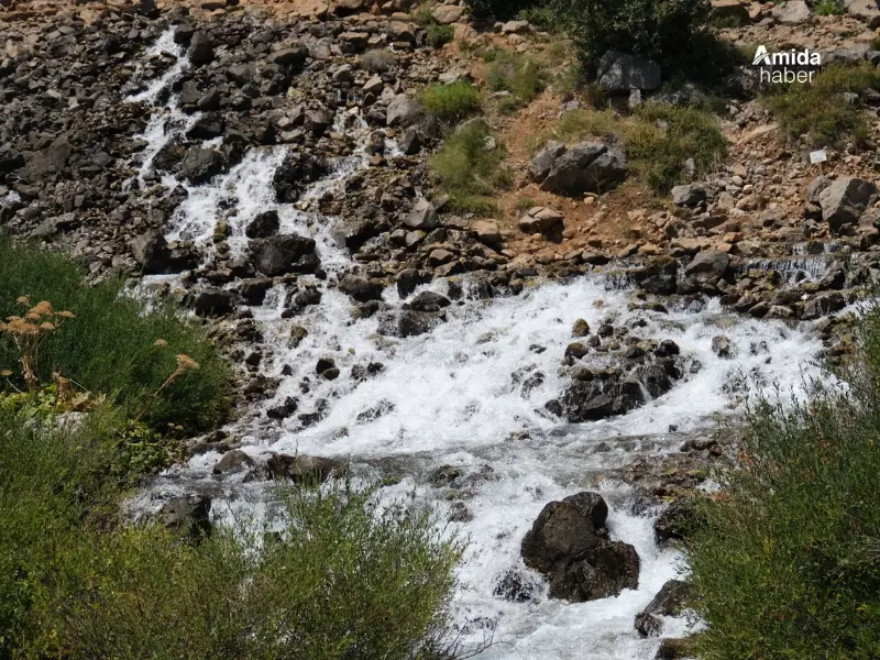 dersim-cografyasi-tehdit-altinda-8.webp