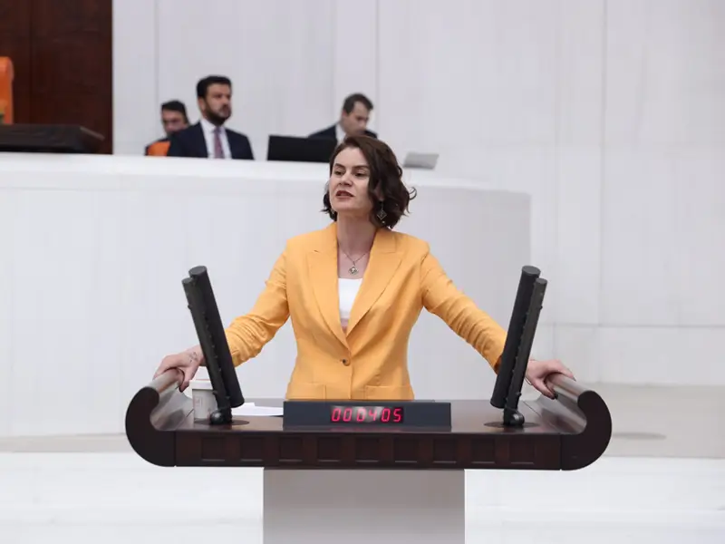 gulcan-kacmaz-sayyigit.webp