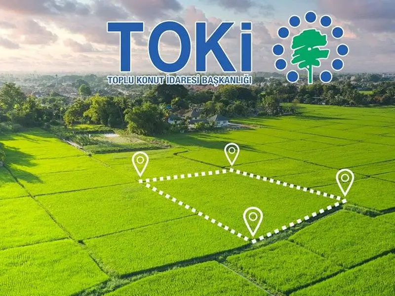 toki-arsa-van.webp