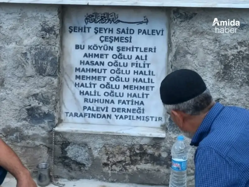 mehmet-kaya.webp