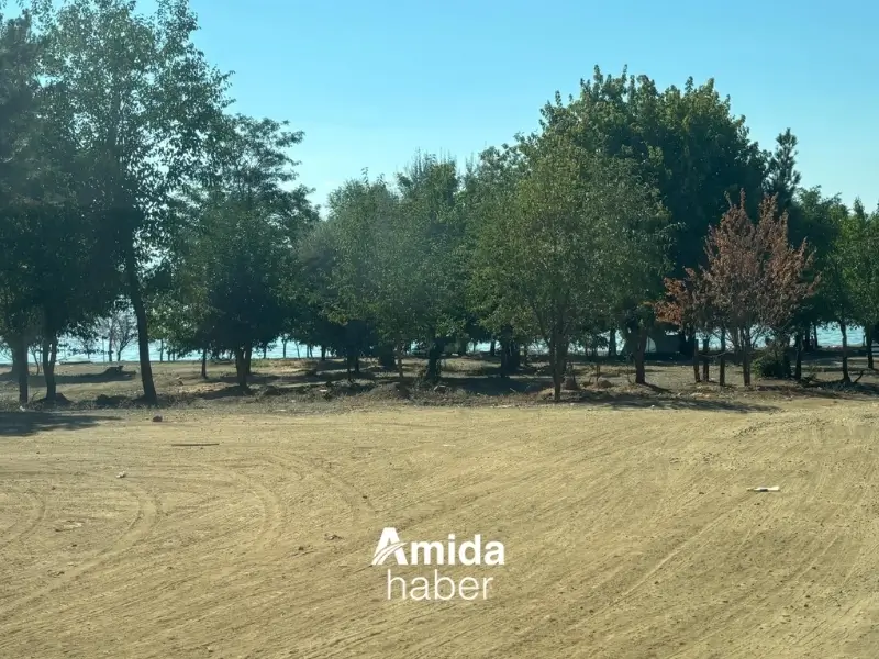 zam-3.webp